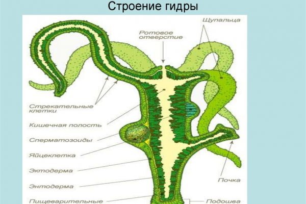 Kraken маркетплейс kraken 11